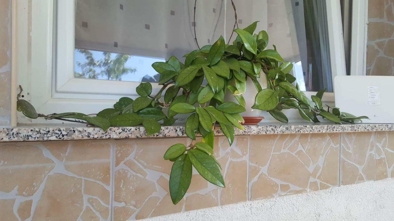 אומאג Apartment Goran & Nela מראה חיצוני תמונה