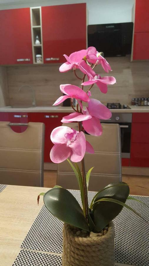 אומאג Apartment Goran & Nela מראה חיצוני תמונה